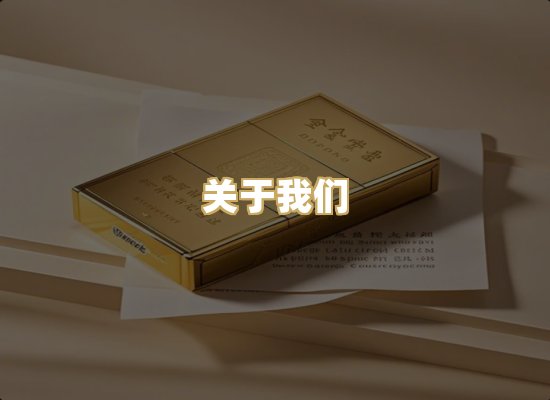 关于我们
